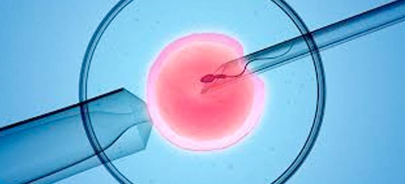 Fécondation In Vitro (FIV) classique Maroc