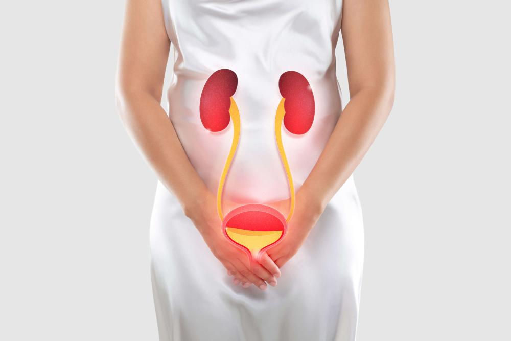 Urogynécologie