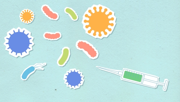 Shigellose : symptômes, transmission et résistance aux antibiotiques