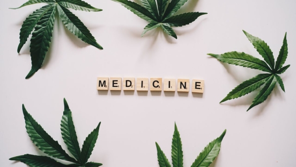 Cannabis licite au Maroc : entre 161 produits disponibles et attente des vrais médicaments